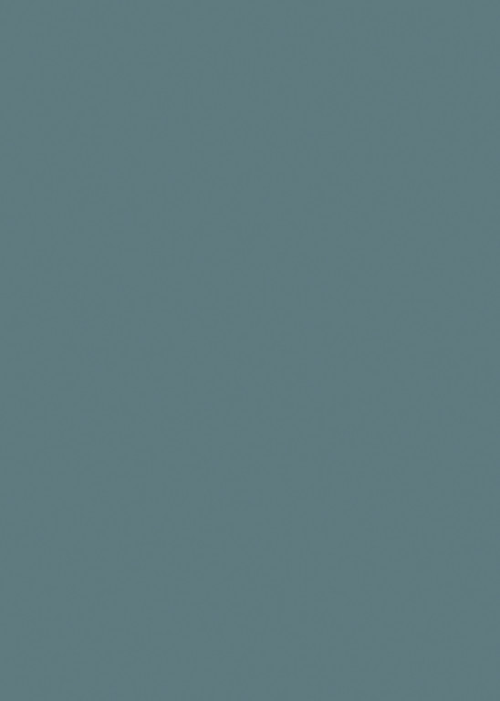 Monument Grey Plain Modern Swatch Size